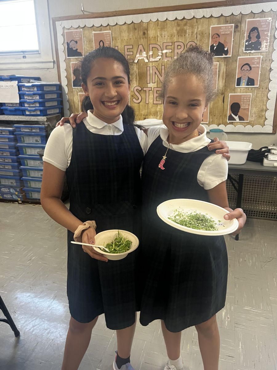 A Boston student harvesting a sunflower microgreen she grew herself